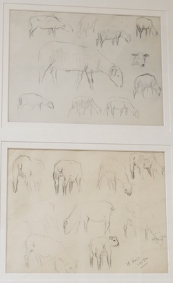 Pierre Adolphe Valette (French, 1876-1942), two pencil / charcoals, sketches of sheep, mounted and framed as one, each 19 x 25cm. Condition - fair